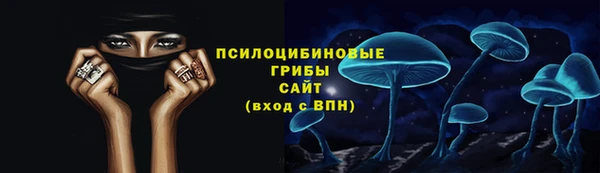 индика Абинск