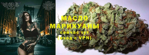 индика Абинск