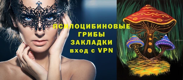 стаф Абдулино