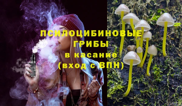 прущая мука Абаза