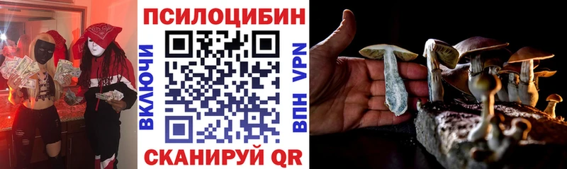 Псилоцибиновые грибы Psilocybe  Кизляр 