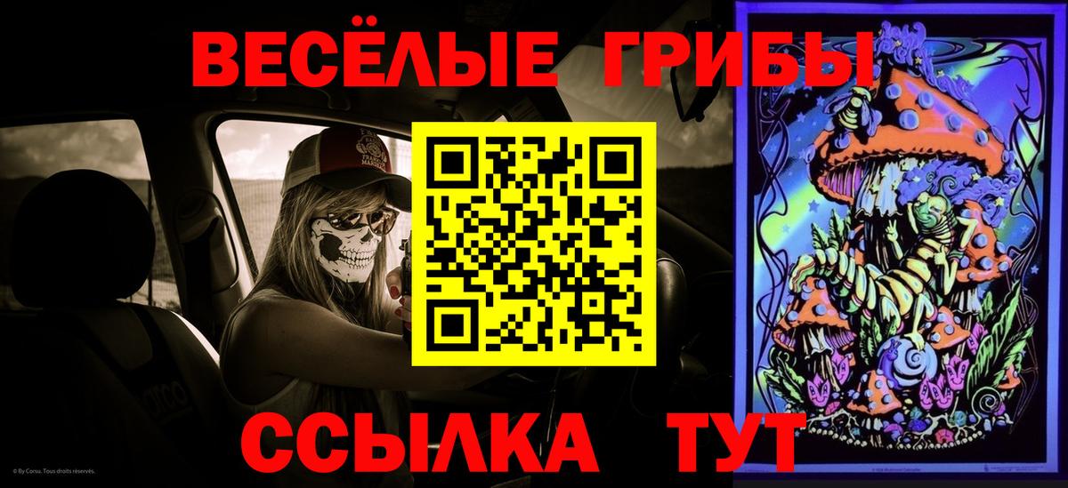 Галлюциногенные грибы прущие грибы Кизляр